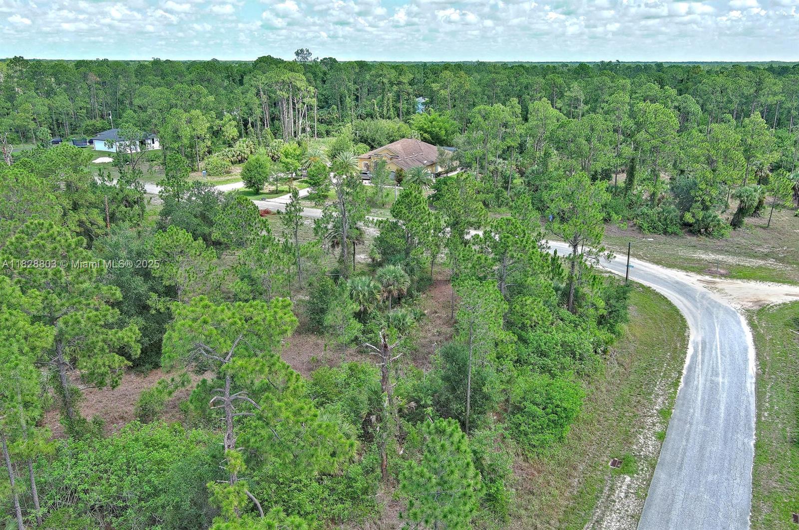 1246 Sentinela Blvd, Lehigh Acres, Florida image 22