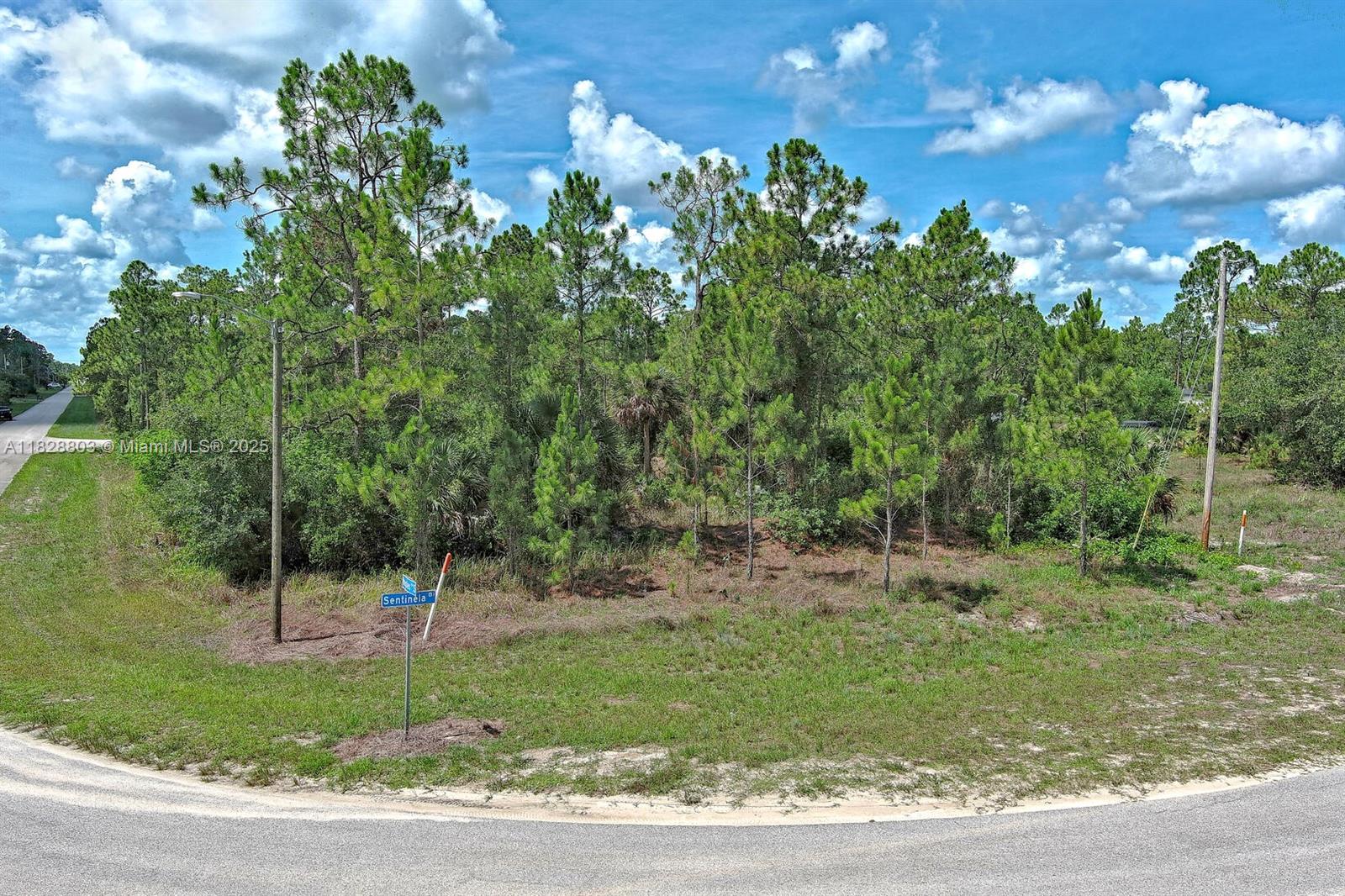1246 Sentinela Blvd, Lehigh Acres, Florida image 3