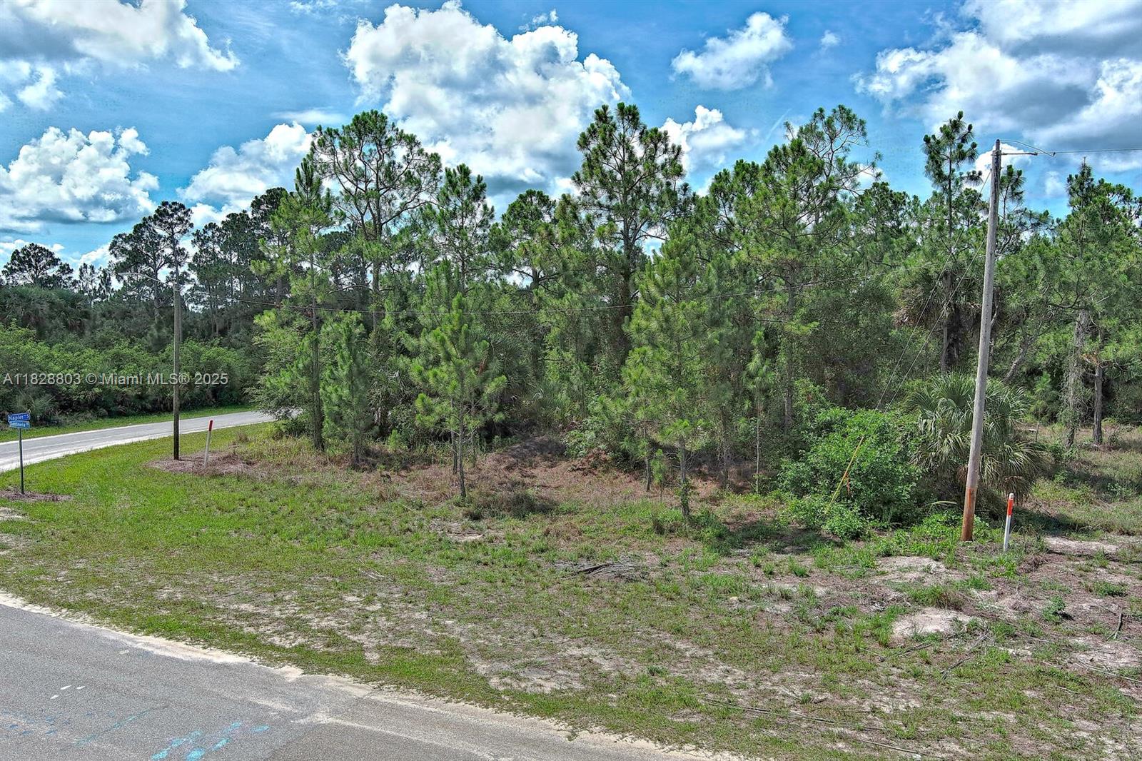 1246 Sentinela Blvd, Lehigh Acres, Florida image 4