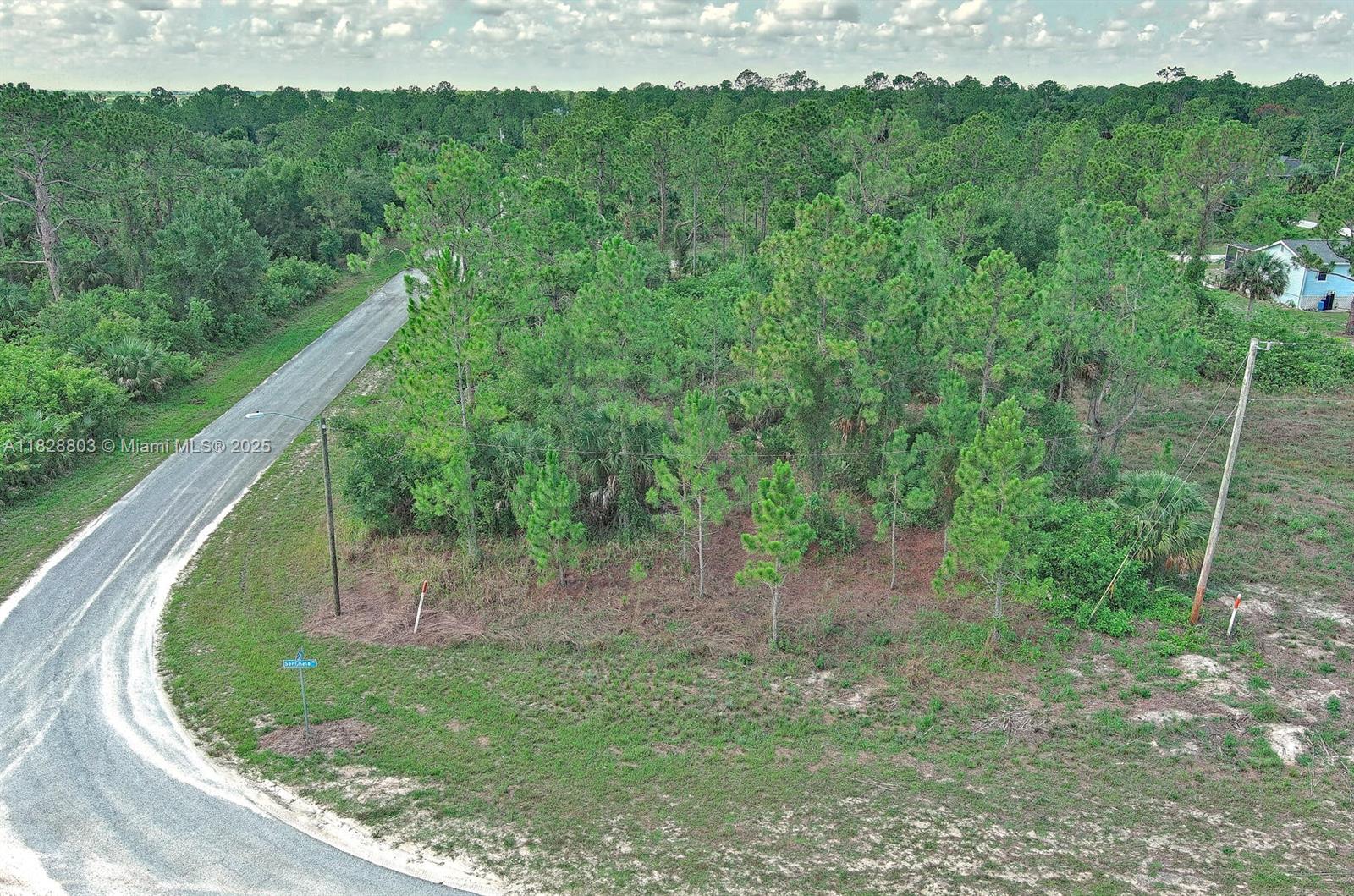 1246 Sentinela Blvd, Lehigh Acres, Florida image 5
