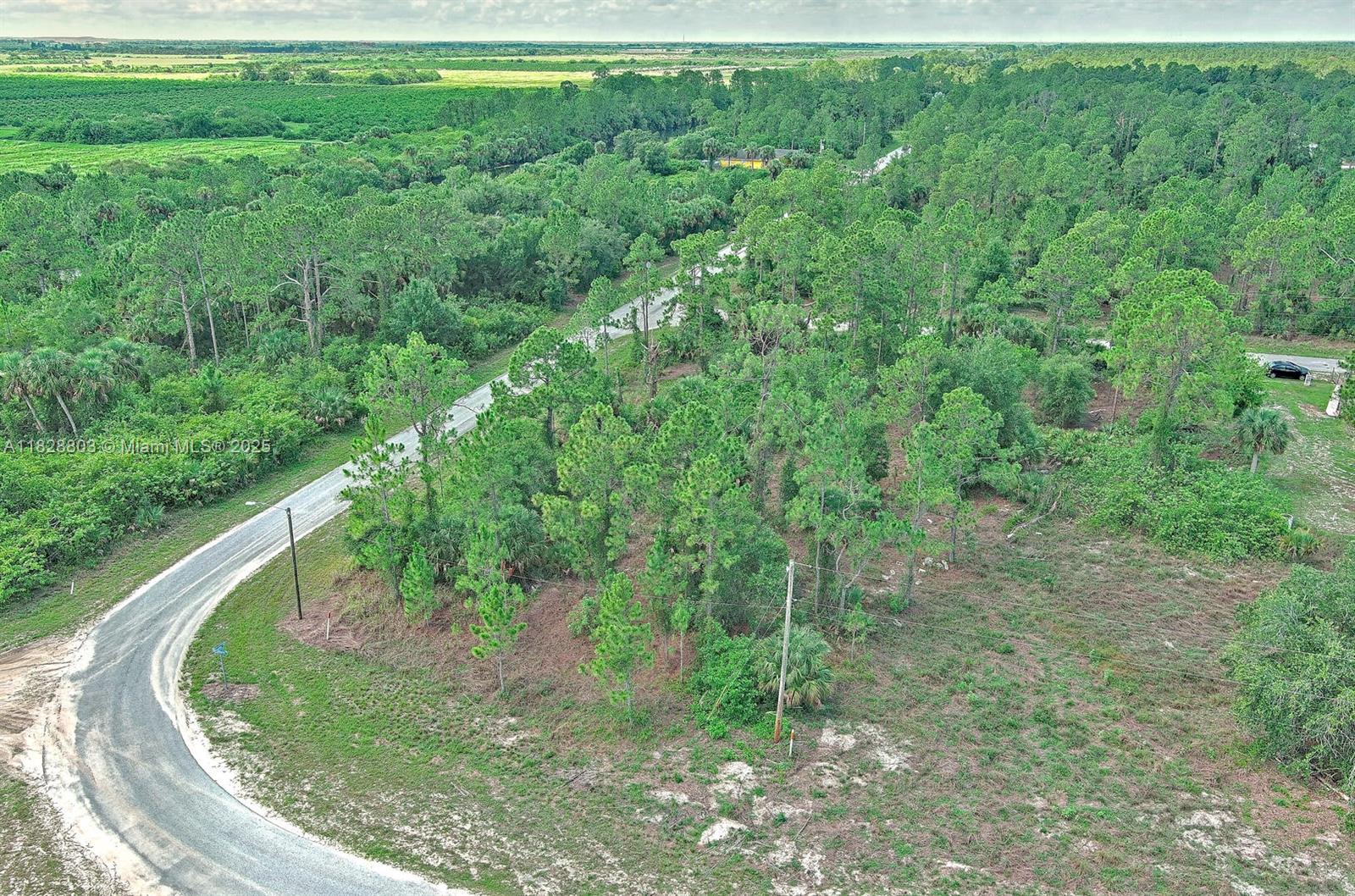 1246 Sentinela Blvd, Lehigh Acres, Florida image 9