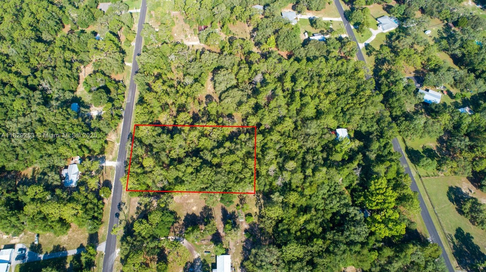 3197 E Squirrel Court, Inverness, Florida image 1