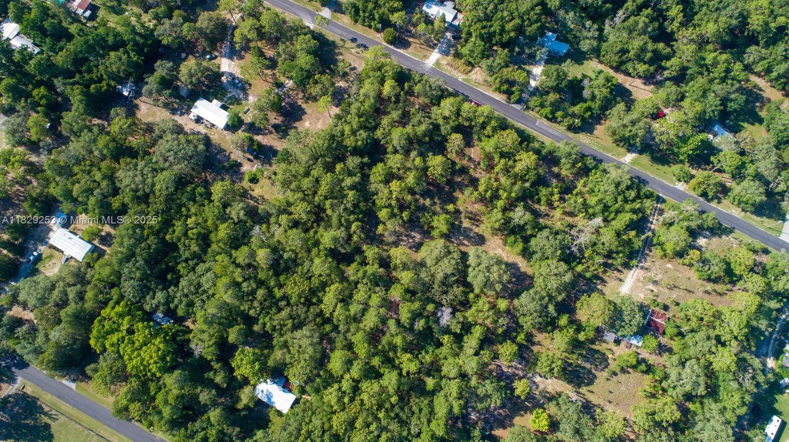 3197 E Squirrel Court, Inverness, Florida image 10