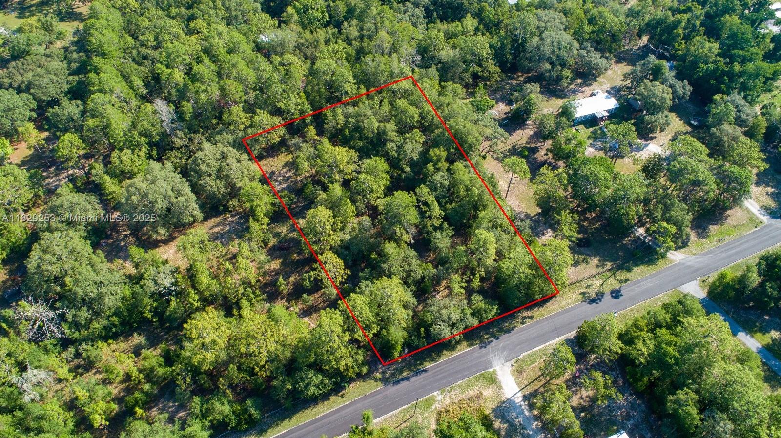 3197 E Squirrel Court, Inverness, Florida image 3