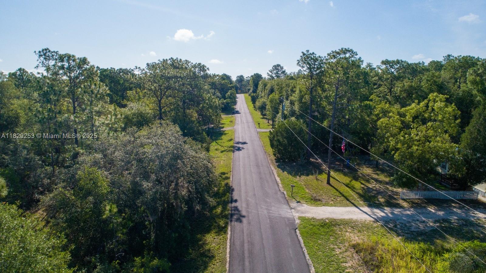 3197 E Squirrel Court, Inverness, Florida image 4