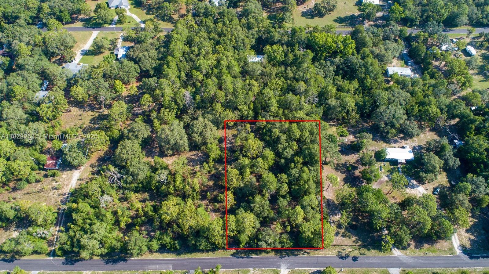 3197 E Squirrel Court, Inverness, Florida image 6