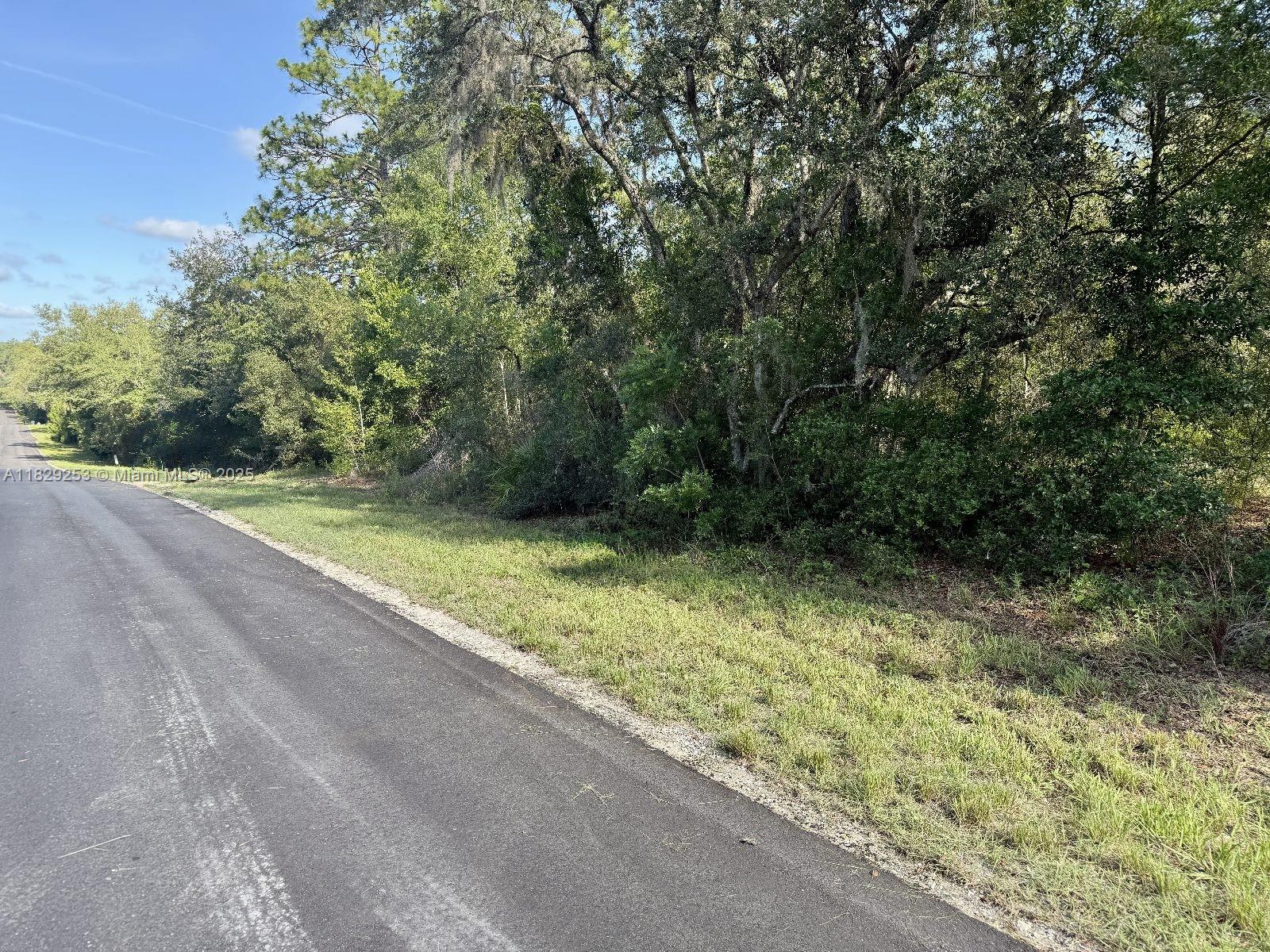 3197 E Squirrel Court, Inverness, Florida image 9