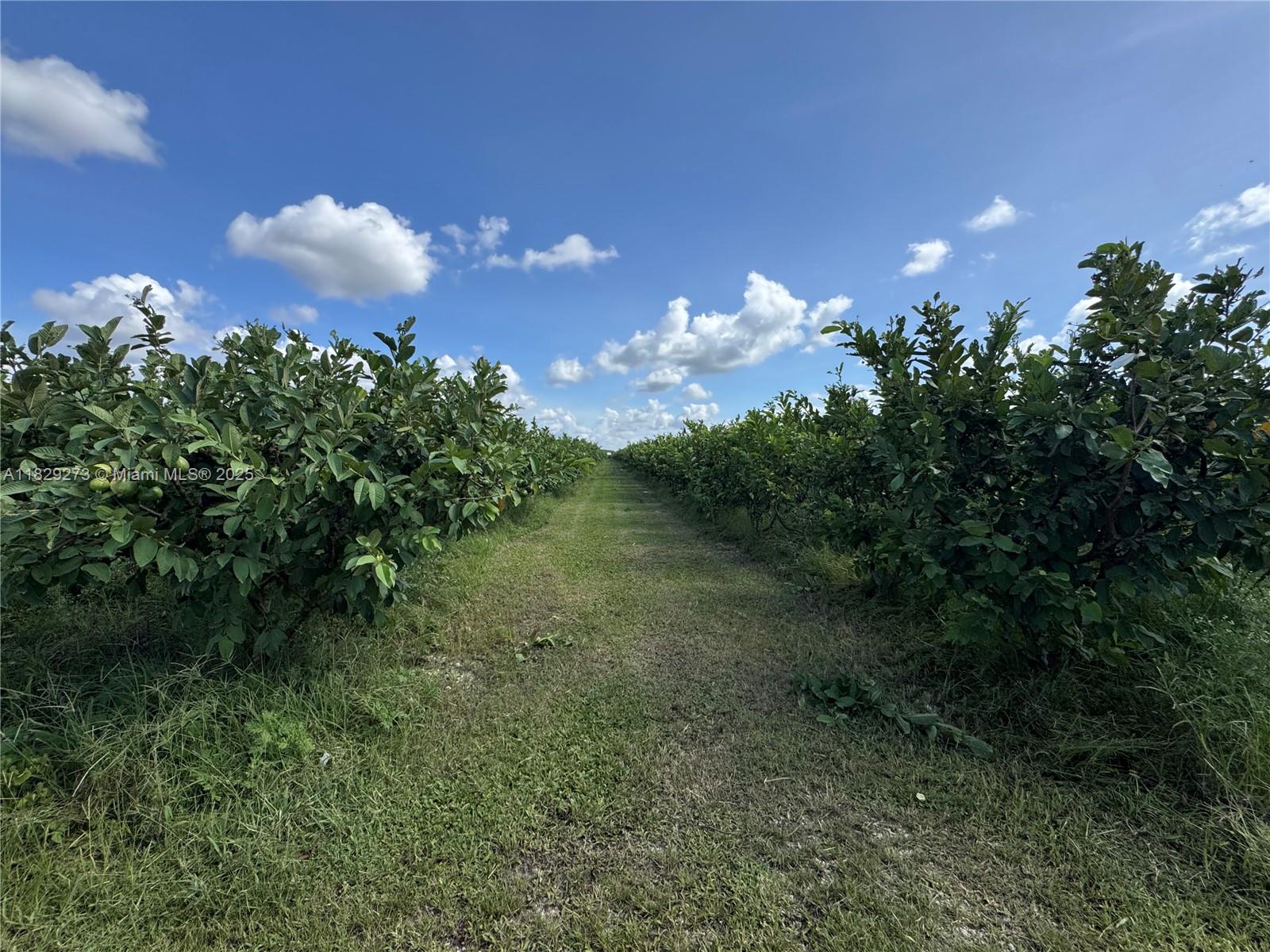 30401 SW 228 Ave, Homestead, Florida image 12