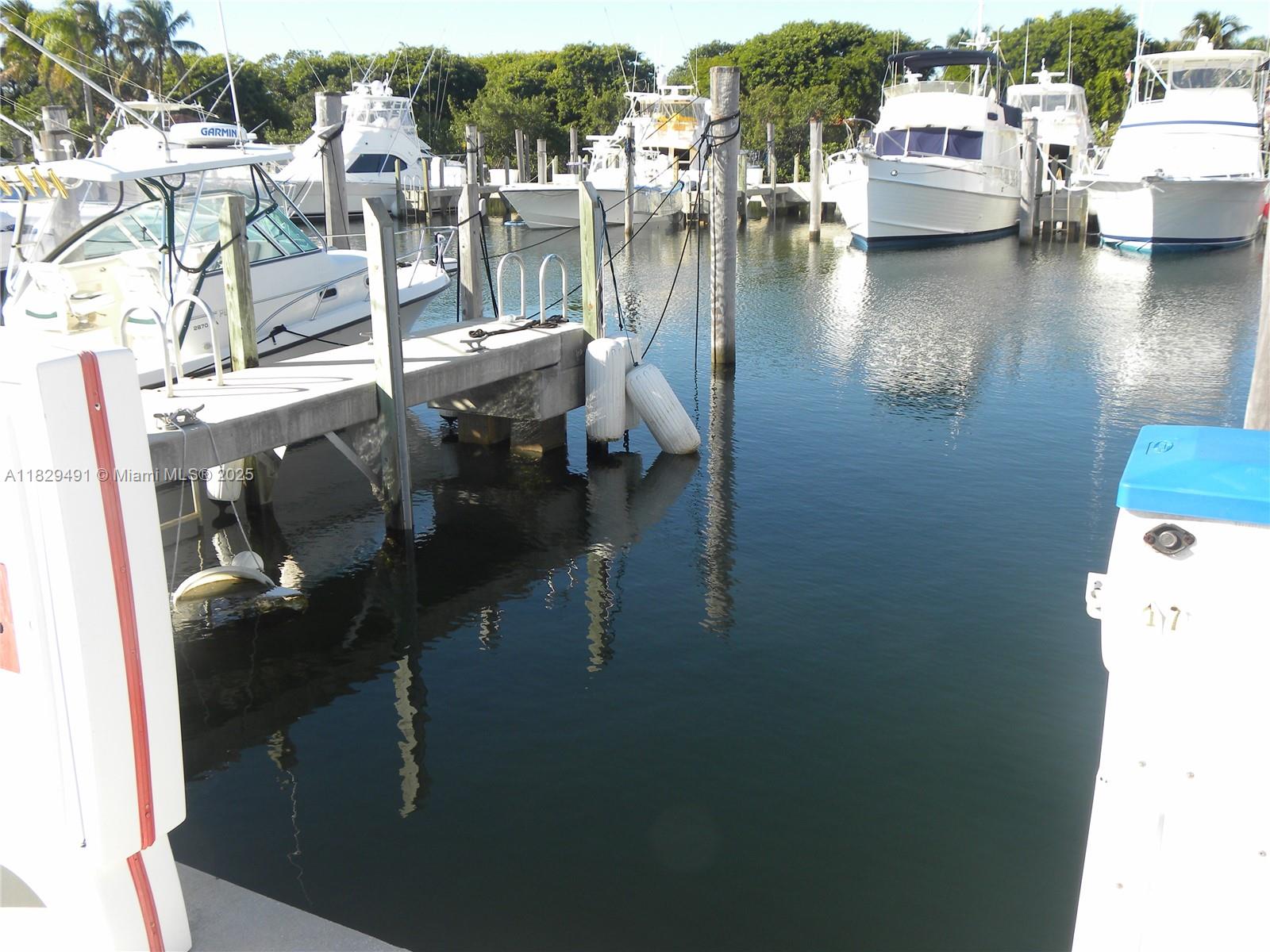 17 Intrepid, Coral Gables, Florida image 3