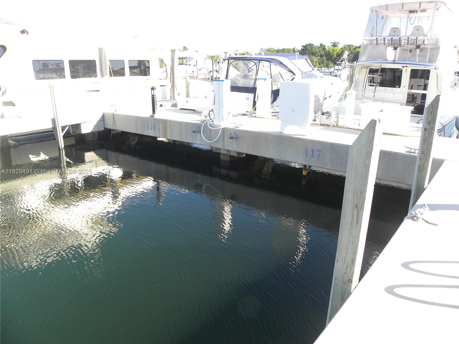 17 Intrepid, Coral Gables, Florida image 4