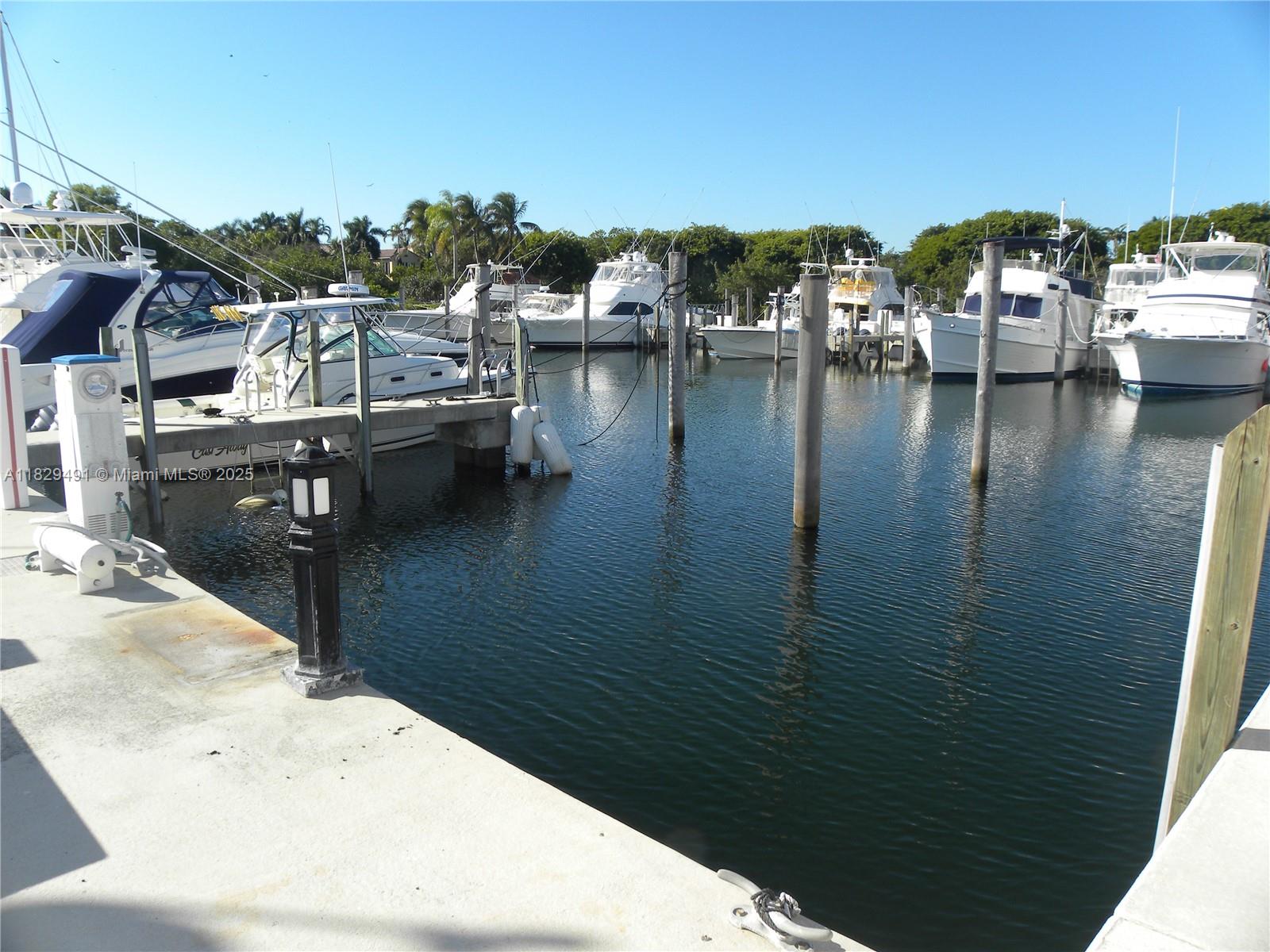 17 Intrepid, Coral Gables, Florida image 5