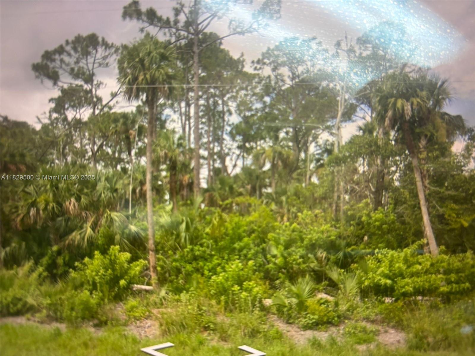 Richmond Neighborhood