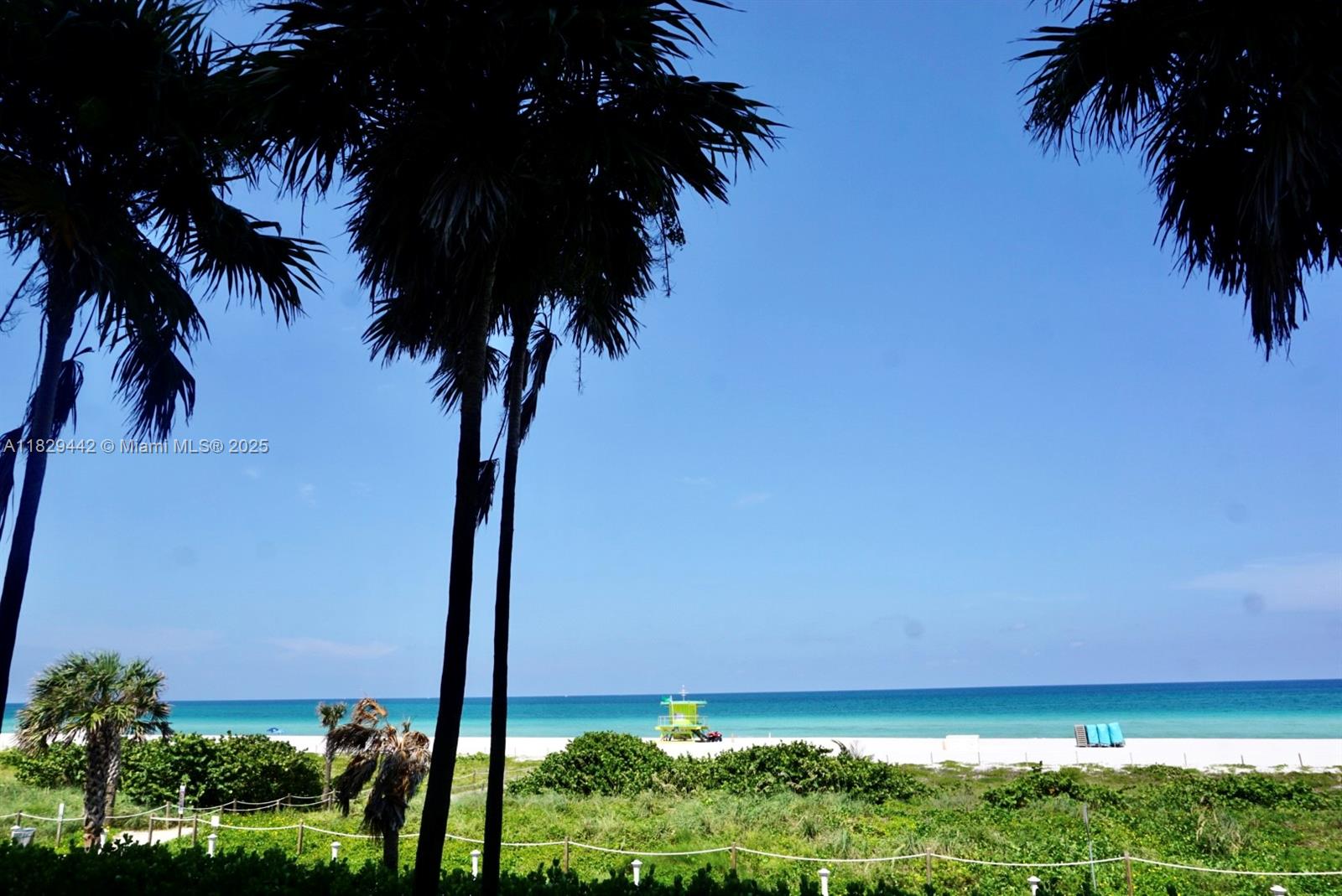 5757 Collins Ave #803, Miami Beach, Florida image 21
