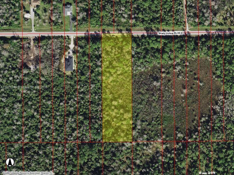 Shady Hollow Blvd E, Naples, Florida image 2