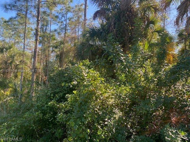 Shady Hollow Blvd E, Naples, Florida image 3