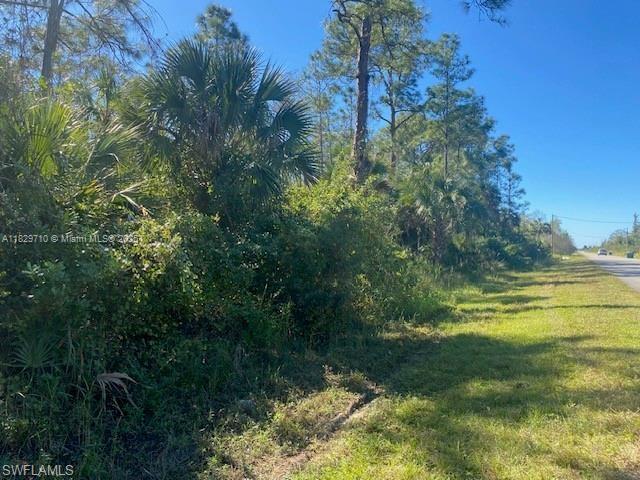 Shady Hollow Blvd E, Naples, Florida image 4