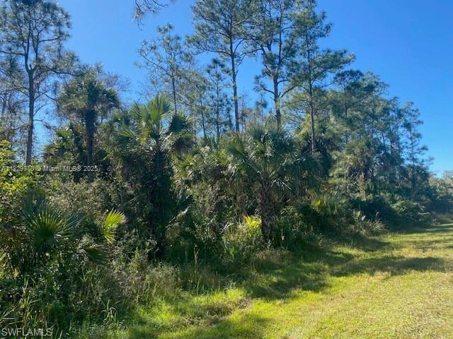 Shady Hollow Blvd E, Naples, Florida image 7