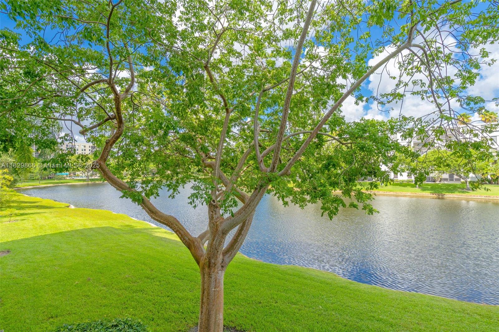 2106 S Cypress Bend Dr #203, Pompano Beach, Florida image 6