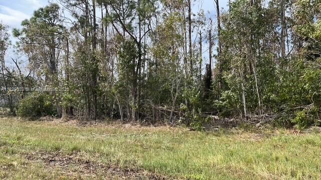 4732 Nw 39th Pl, Cape Coral, Florida image 4