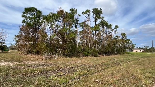 4732 Nw 39th Pl, Cape Coral, Florida image 5