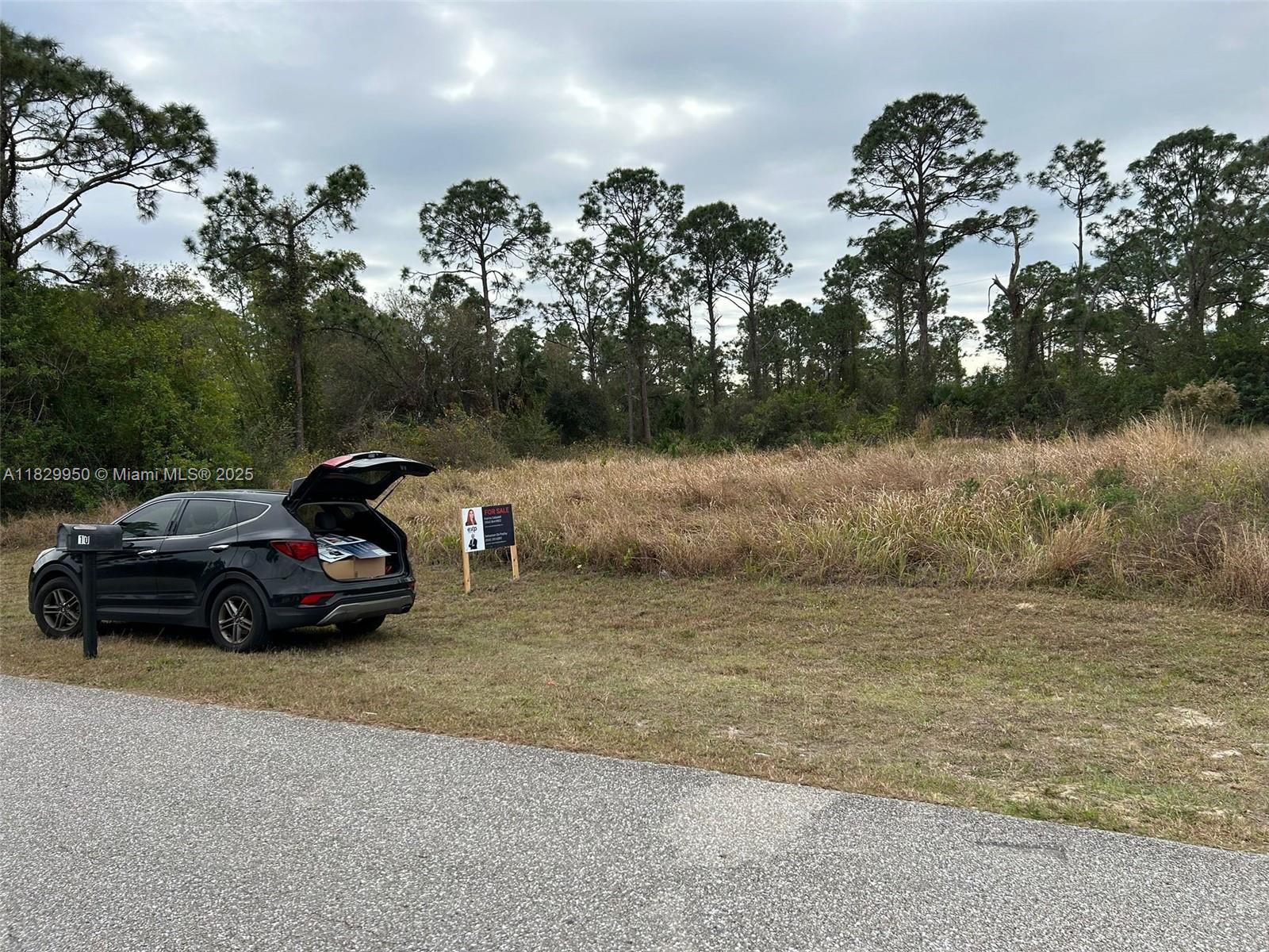 1054 Barcelona St E, Lehigh Acres, Florida image 4