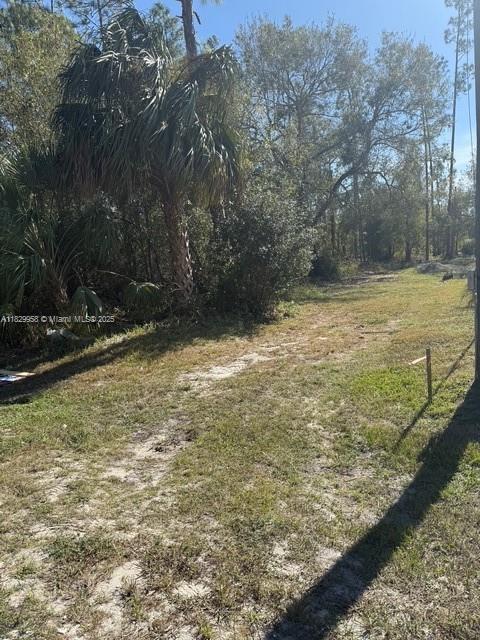 4204 E,. 10th St., Lehigh Acres, Florida image 4