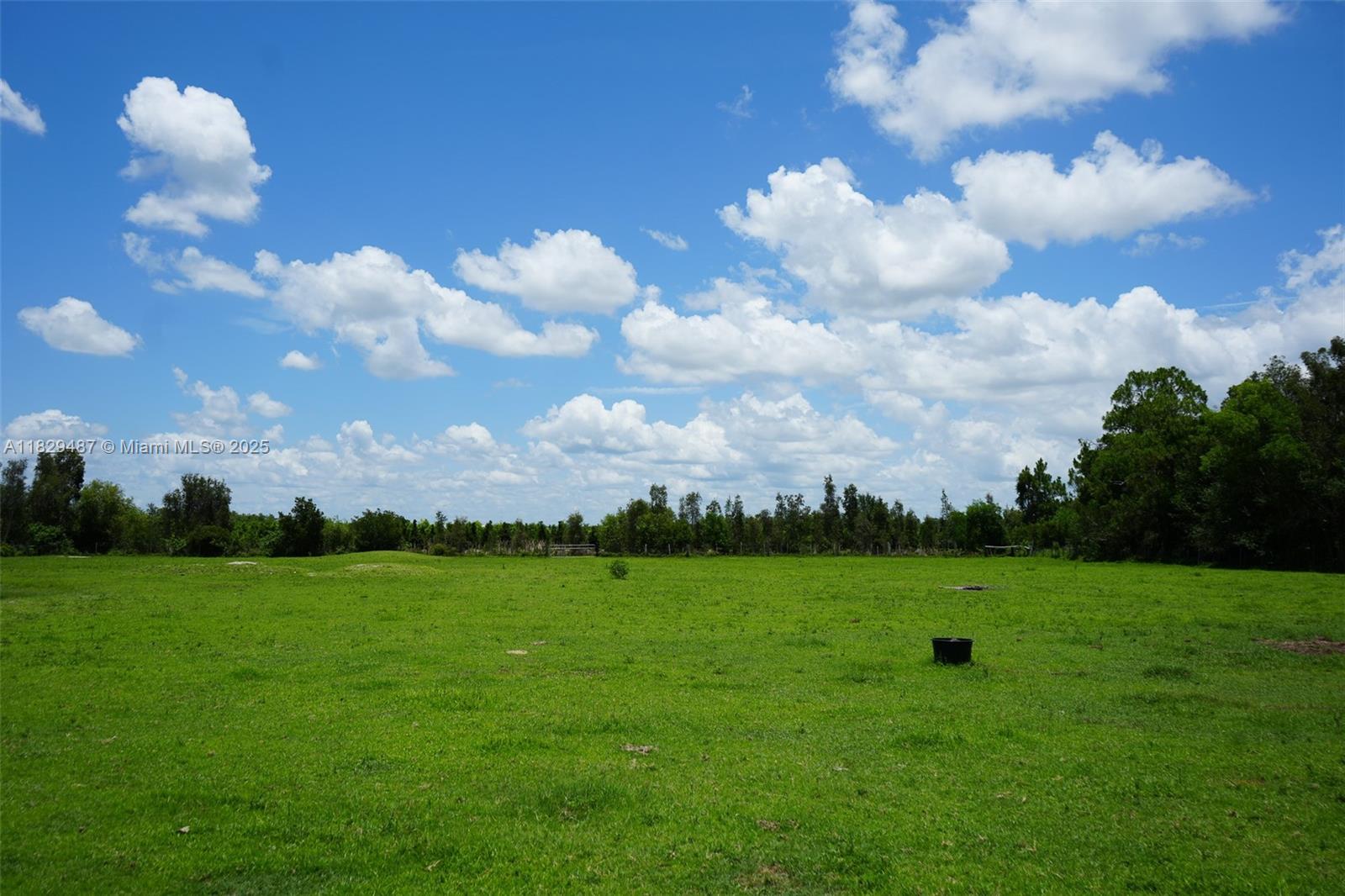 Angus Lane, Fort Myers, Florida image 4