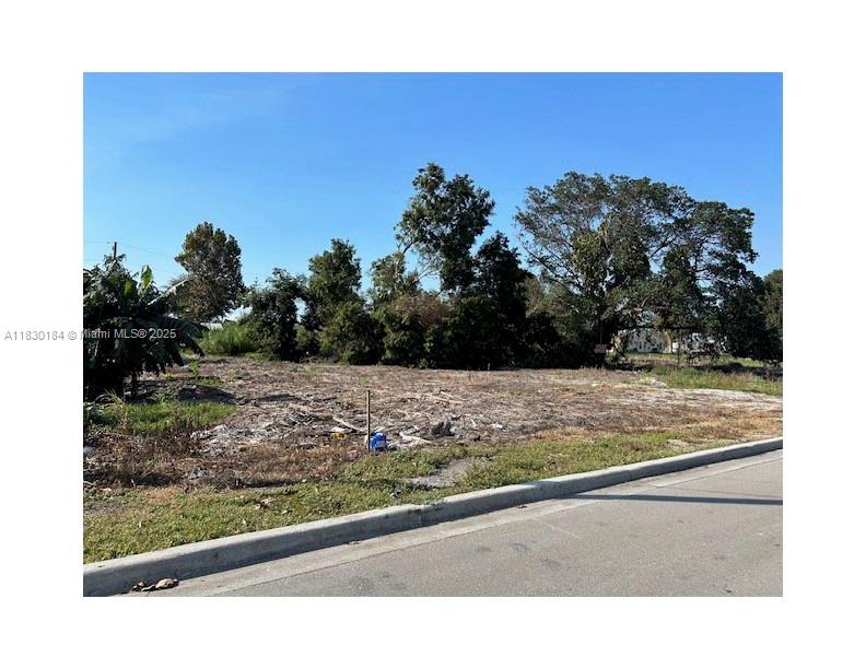 875 Joe Louis Ave, Pahokee, Florida image 1
