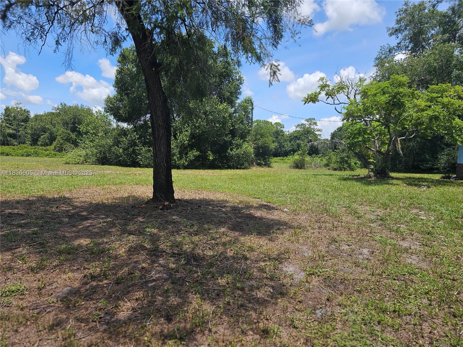 2050 Evans, La Belle, Florida image 20
