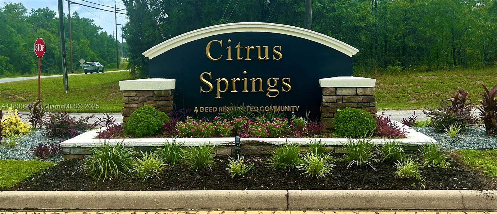 1139 W Hampshire, Citrus Springs, Florida image 1