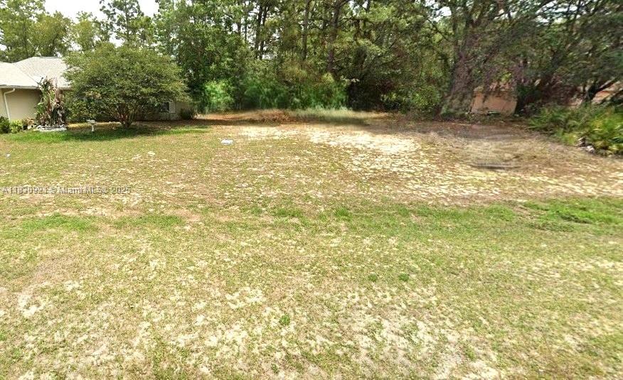 1139 W Hampshire, Citrus Springs, Florida image 5