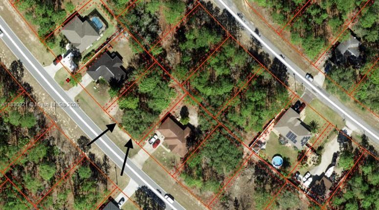 1139 W Hampshire, Citrus Springs, Florida image 7