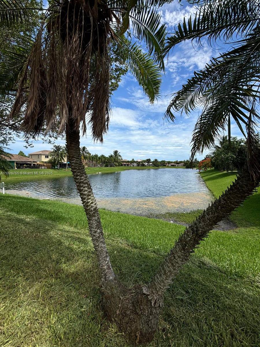 Property photo # 4