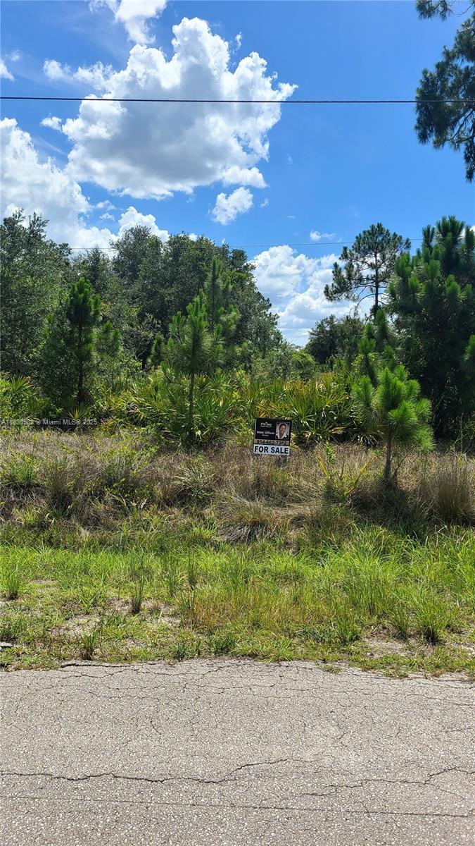 817 Lincoln Avenue, Lehigh Acres, Florida image 1
