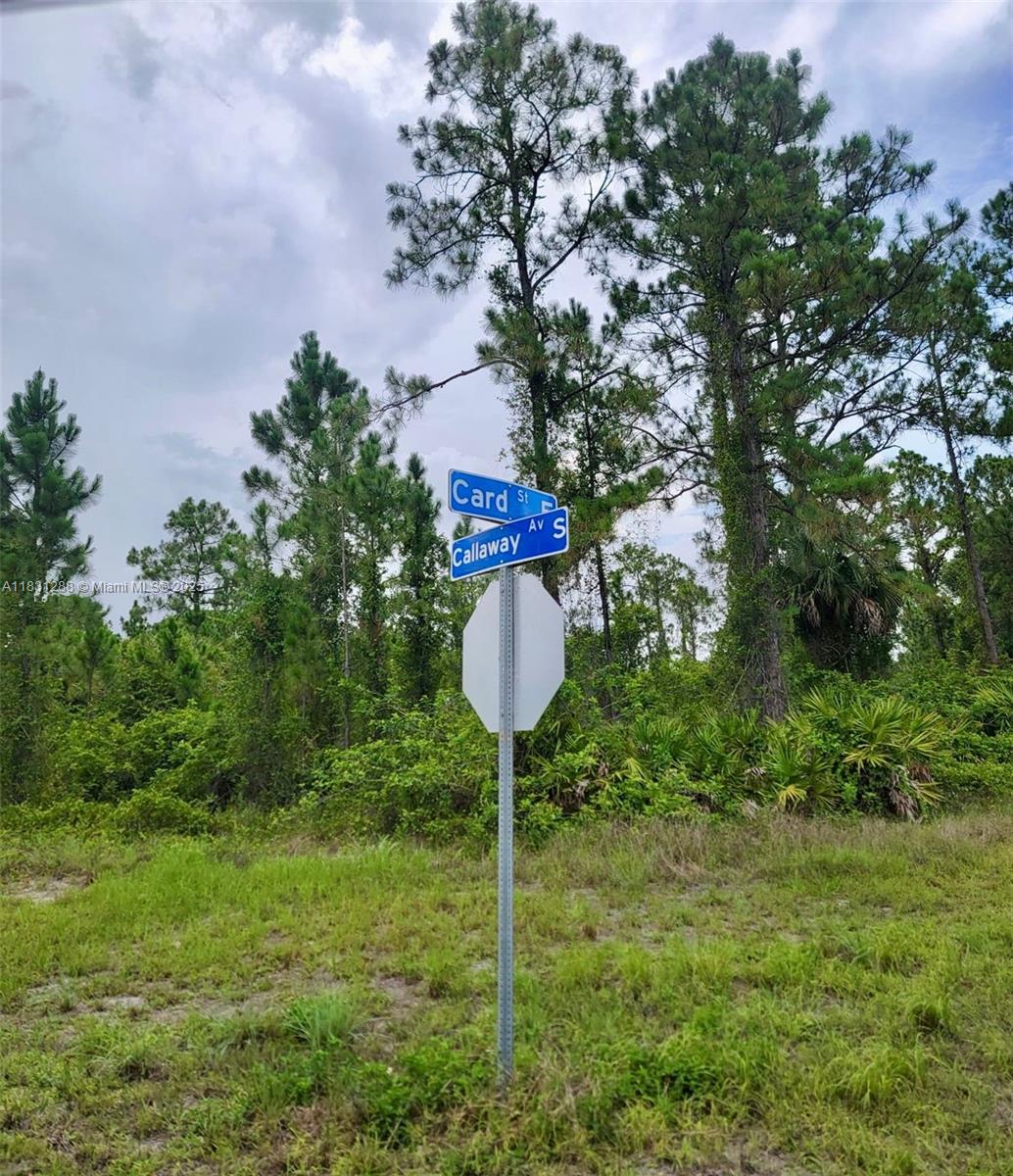 1017 Card St E, Lehigh Acres, Florida image 3