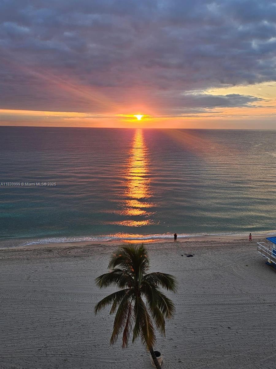 400 N Surf Rd #804, Hollywood, Florida image 1