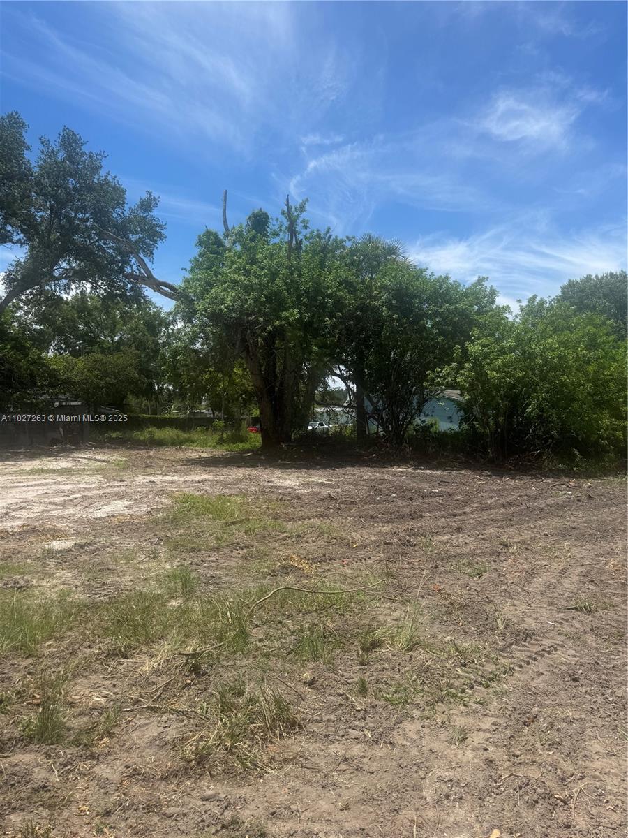 Henrietta Street, Kissimmee, Florida image 5