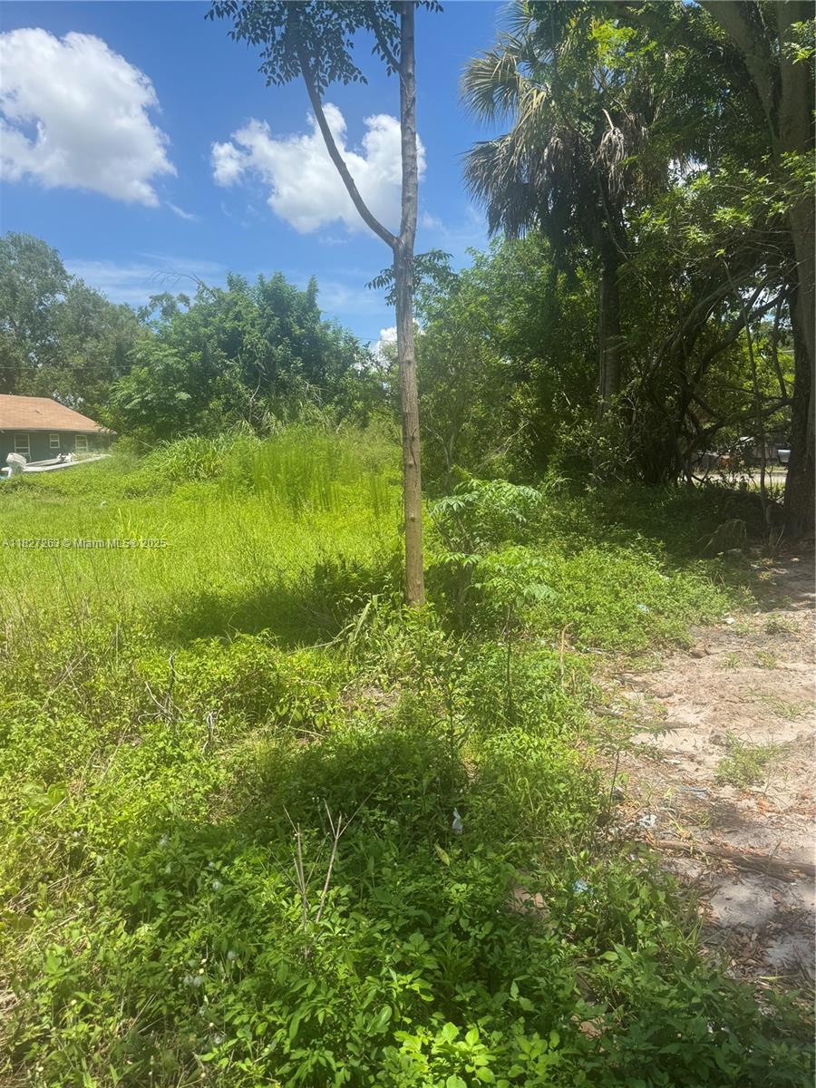 Henrietta Street, Kissimmee, Florida image 7