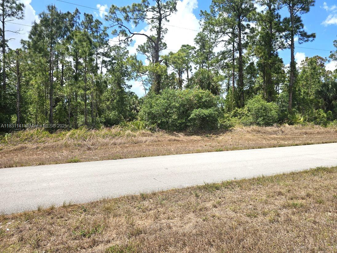 517 Hines Ave, Lehigh Acres, Florida image 1