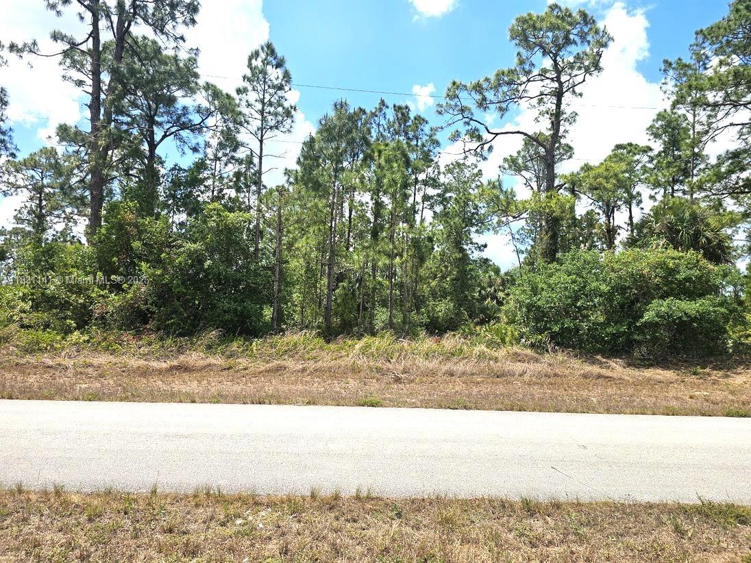 517 Hines Ave, Lehigh Acres, Florida image 5