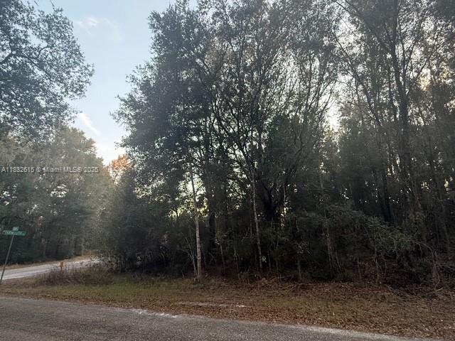 684 E Noah Ln, Citrus Springs, Florida image 3