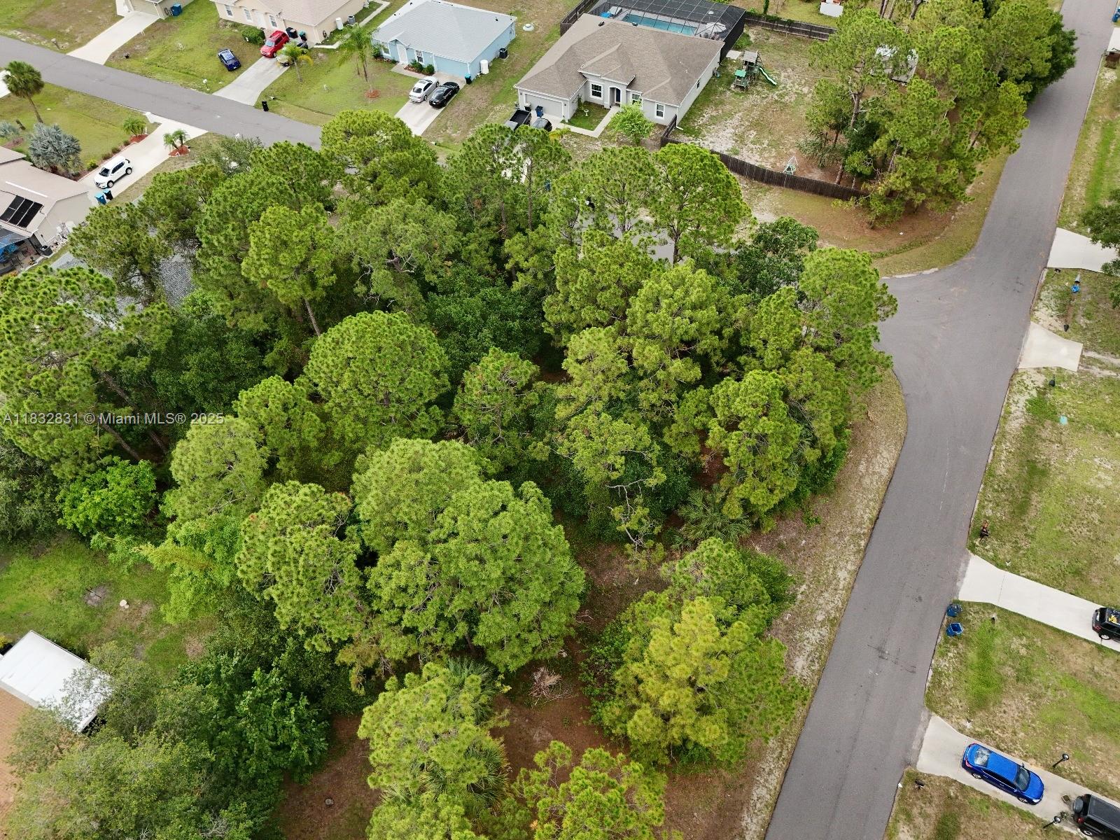 808 Sorrel St Nw, Palm Bay, Florida image 2