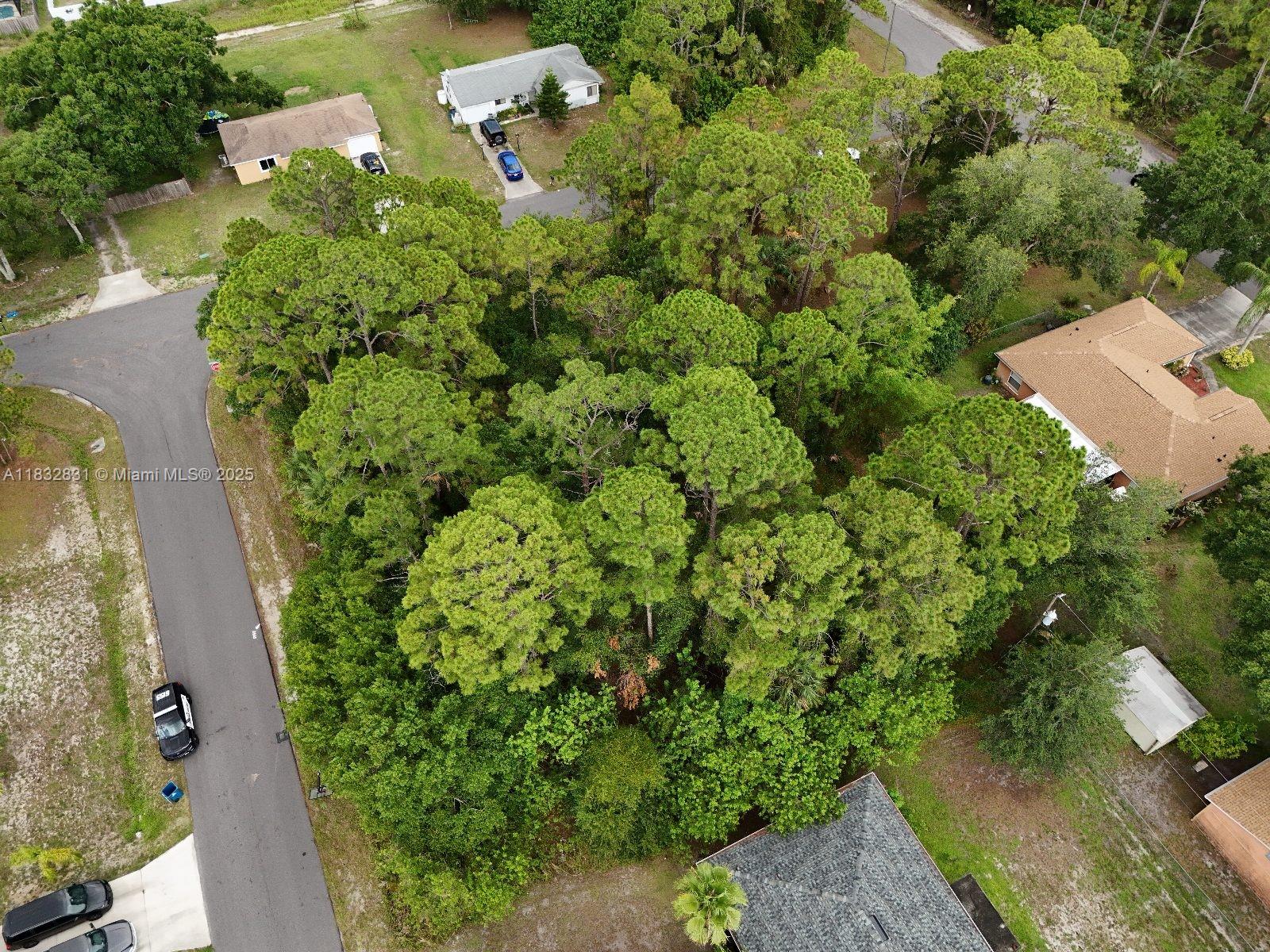 808 Sorrel St Nw, Palm Bay, Florida image 7
