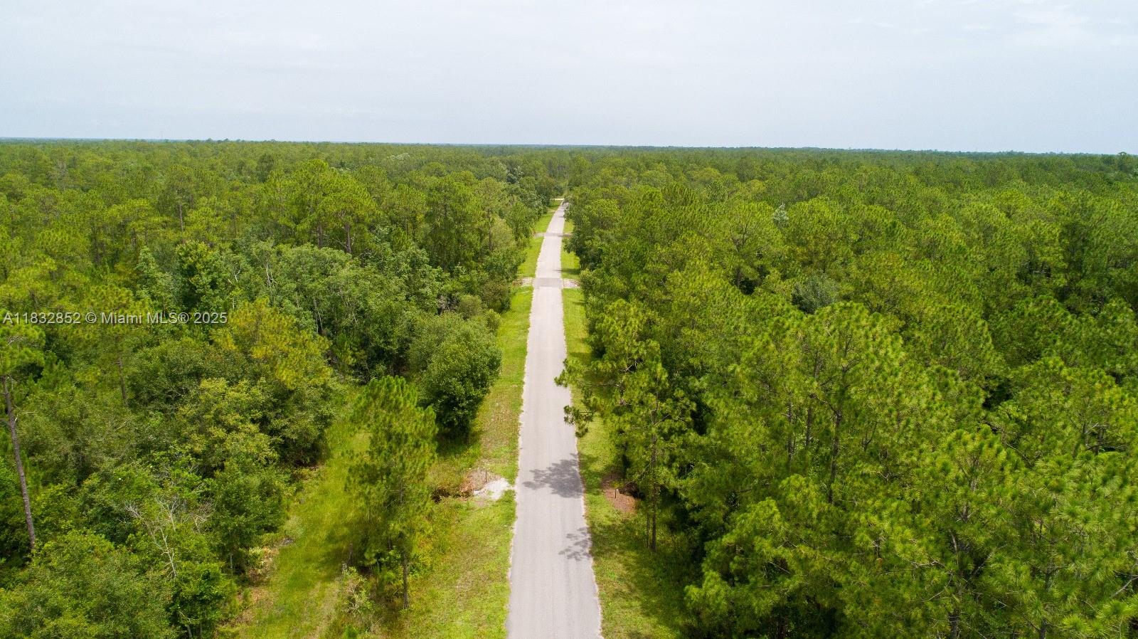 5924 & 5932 Balboa Boulevard, Sebring, Florida image 3