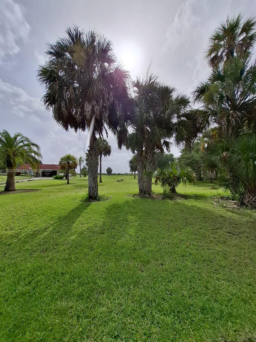 442 Caloosa Estates, La Belle, Florida image 2