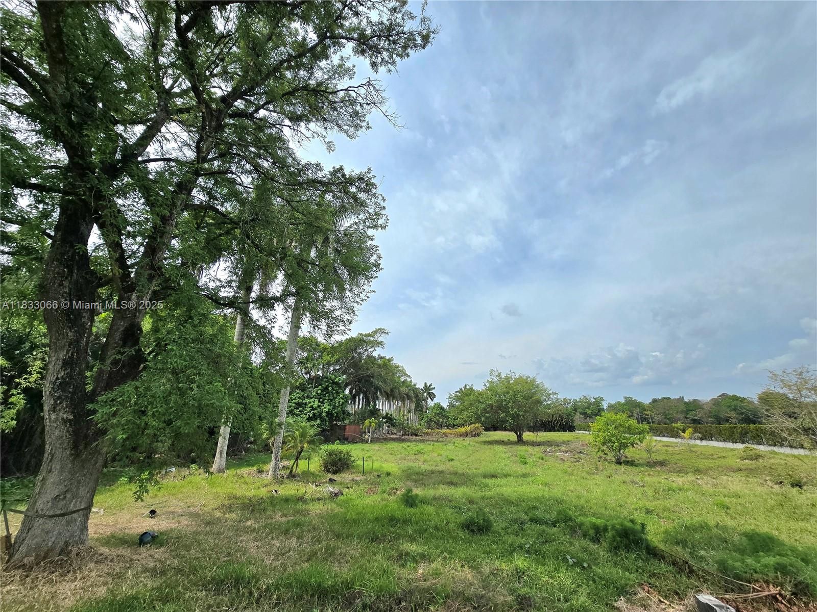 Property photo # 4