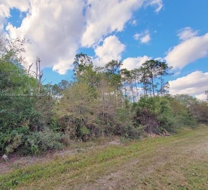 305 Yeehaw Ave, Clewiston, Florida image 1