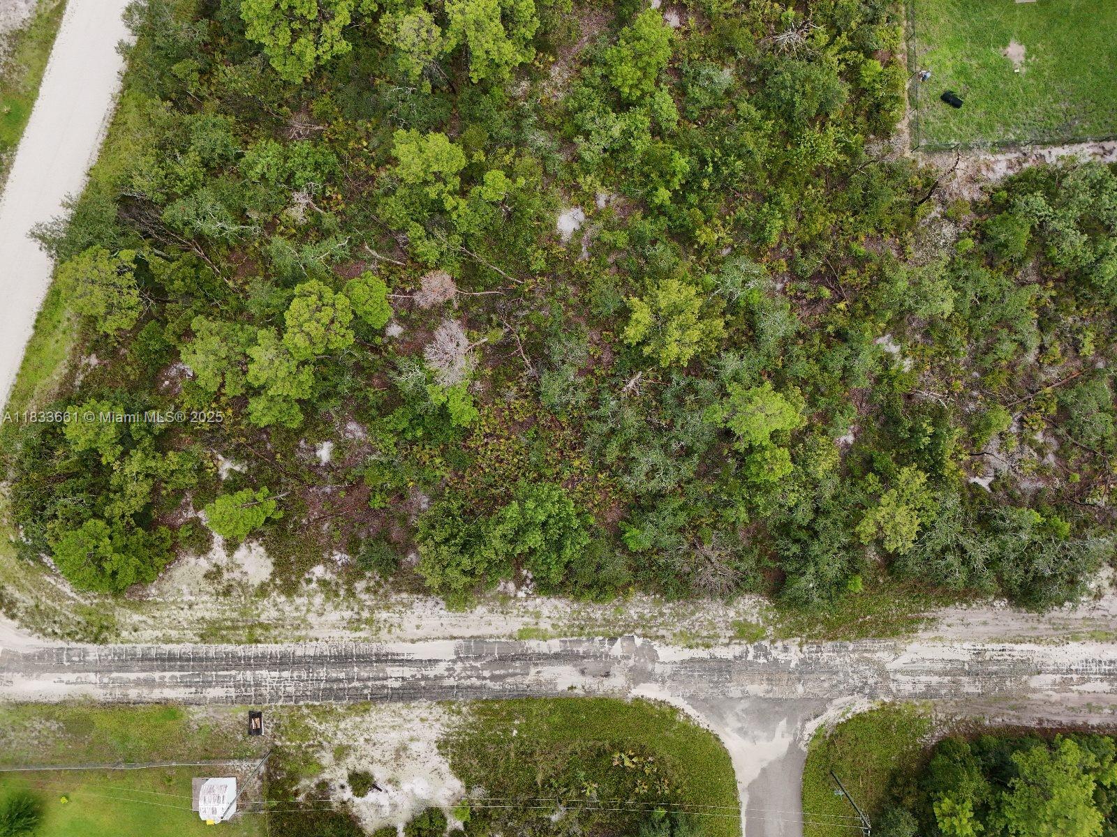 102 Edison Road Ne, Lake Placid, Florida image 6