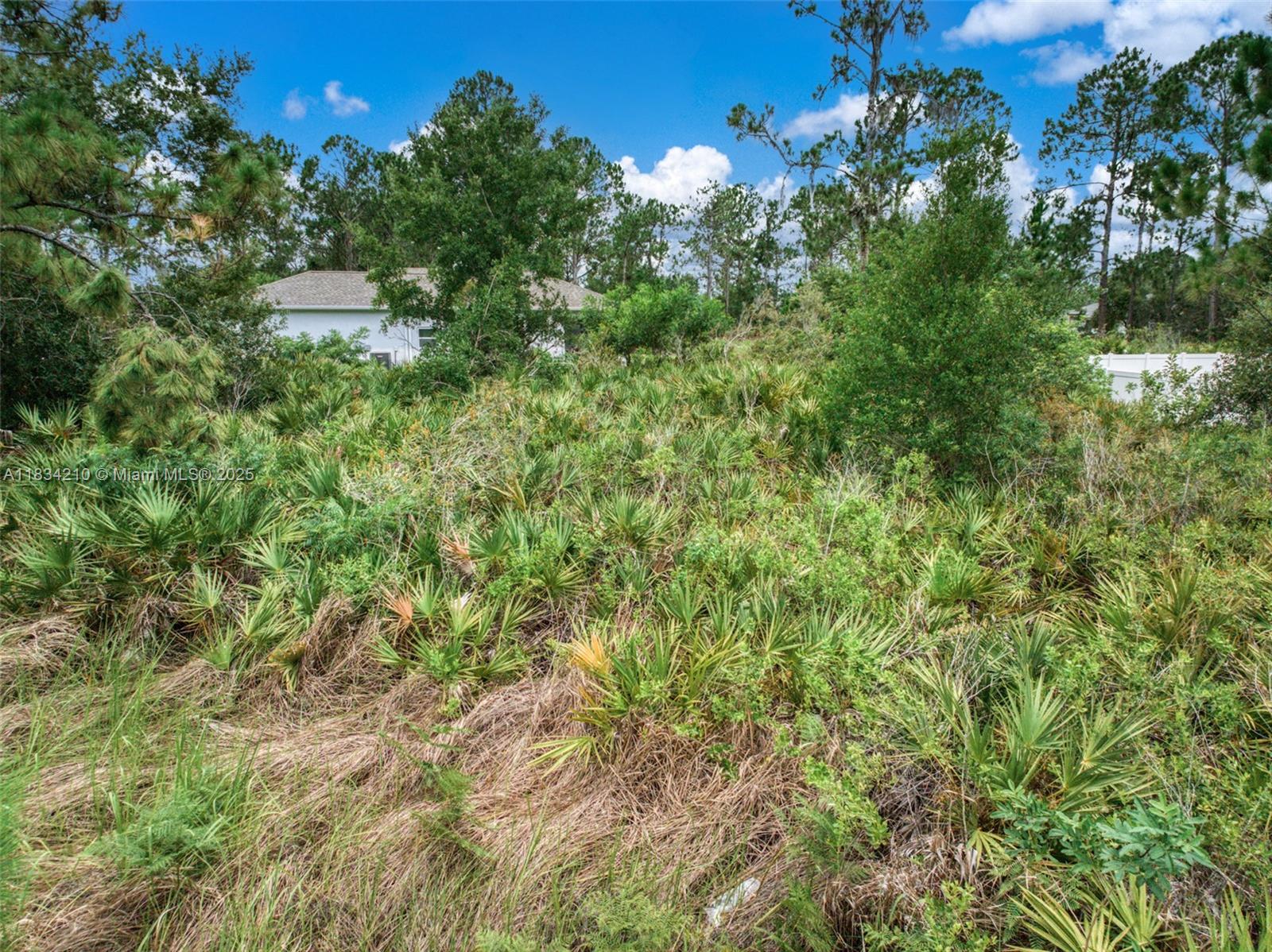 6939 Mexican Hat Dr, Sebring, Florida image 14