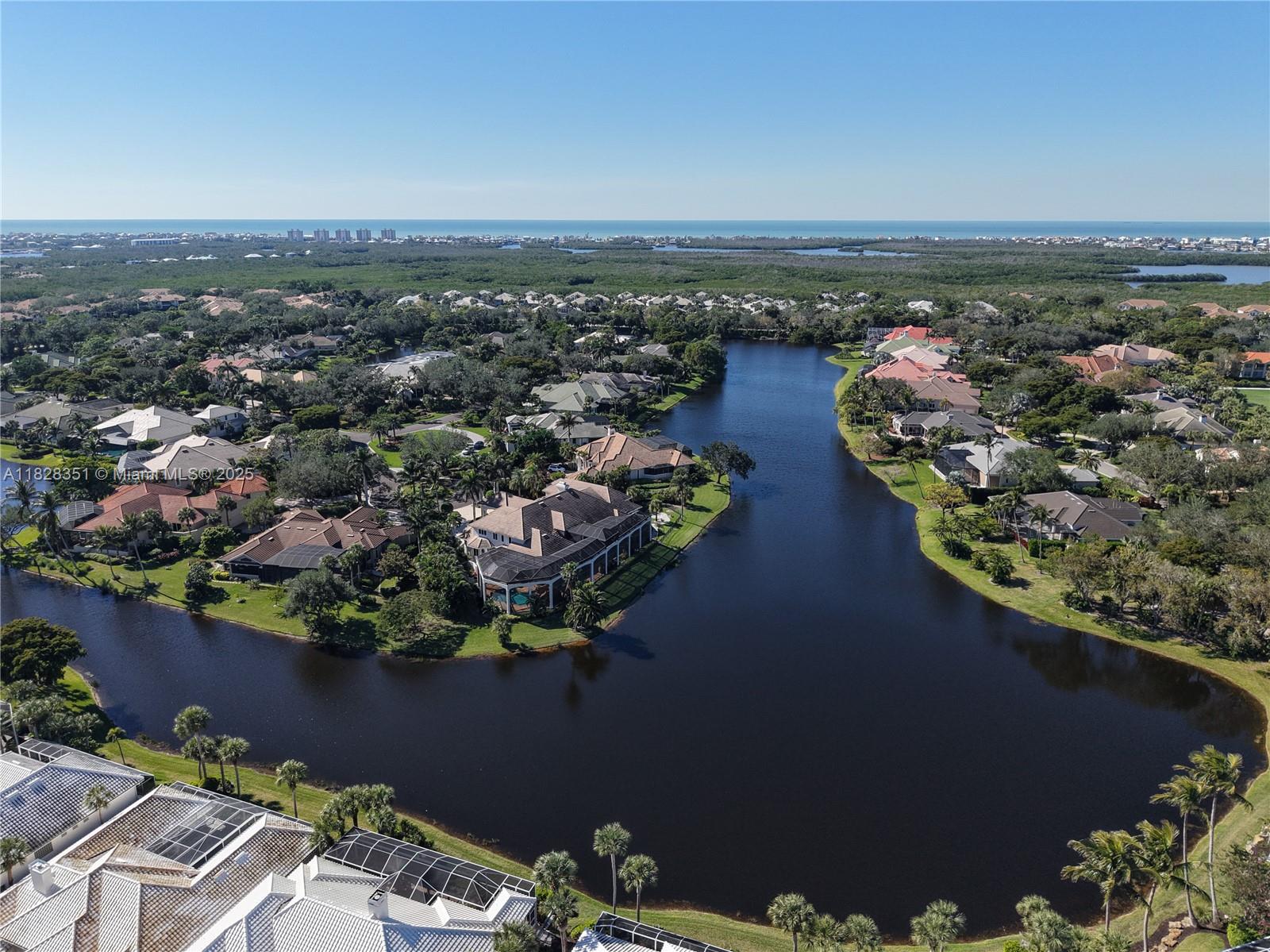 27201 Ibis Cove Court, Bonita Springs, Florida image 10